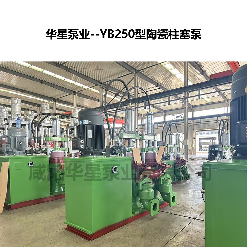 YB250節(jié)能型陶瓷柱塞泵-02 YB250節(jié)能型陶瓷柱塞泵-02