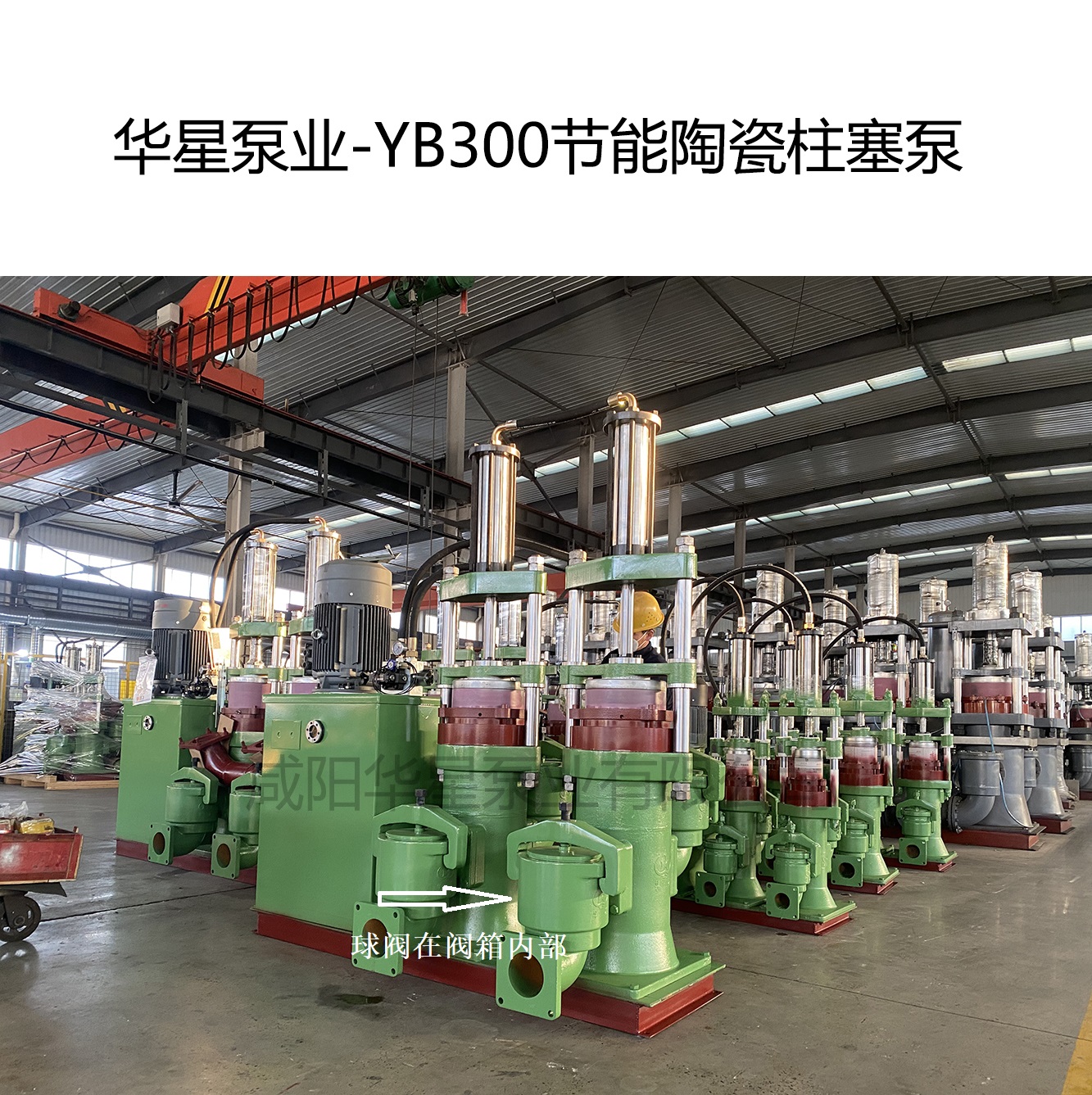 華星泵業(yè)-YB300節(jié)能陶瓷柱塞泵-04 華星泵業(yè)-YB300節(jié)能陶瓷柱塞泵-04